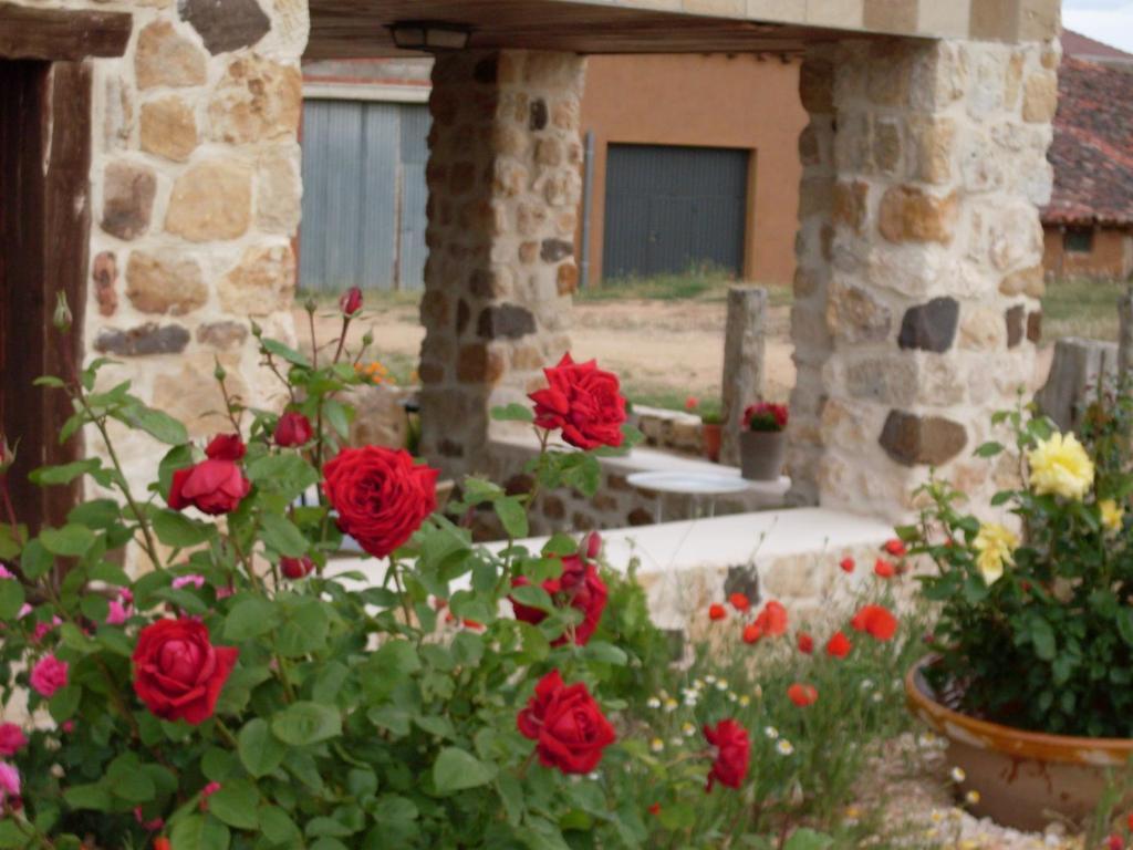 Hotel Valdelinares Valdelinares  Buitenkant foto